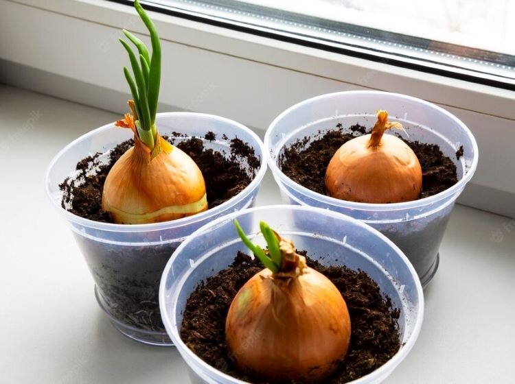 Trava u doma remix. Trava u doma remix. Natura трава. Trava u doma remix. земляне трава у дома.