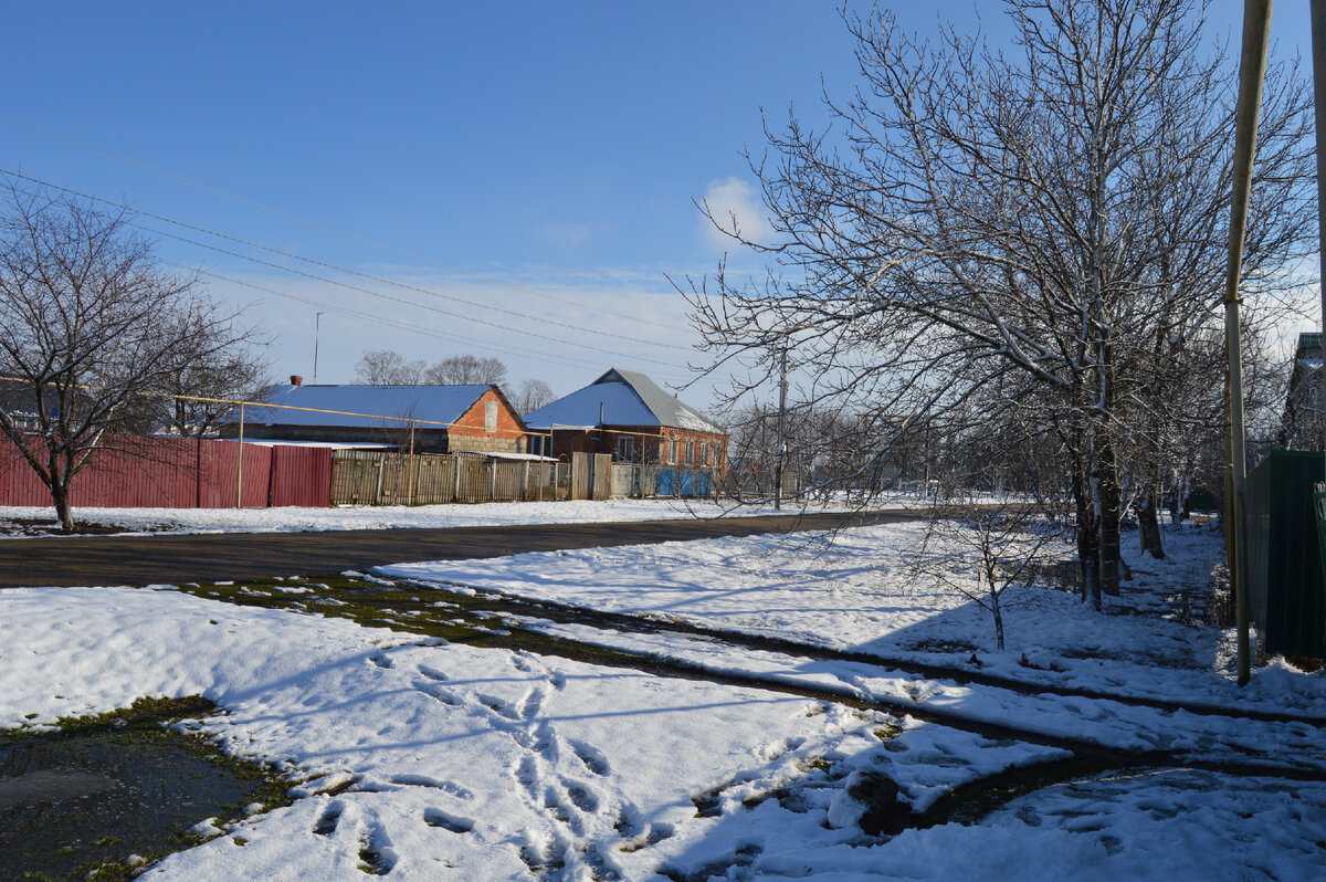 Фото автора. 22.01.2024. Станица. Зима вновь вернулась в станицу.