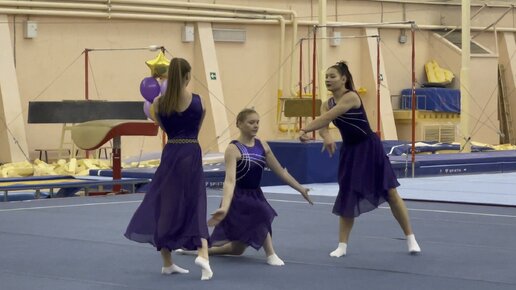 Государственная школа спортивной гимнастики