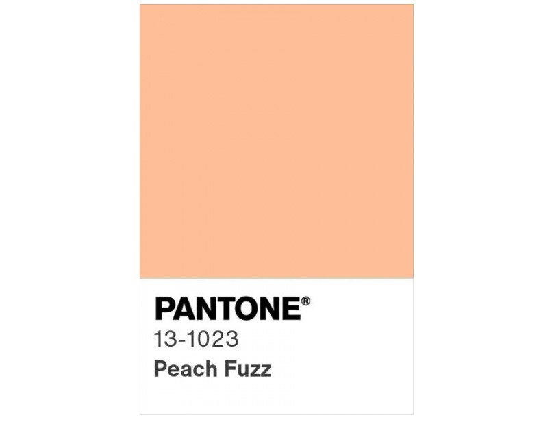 Цвет 2024 года по Пантон.