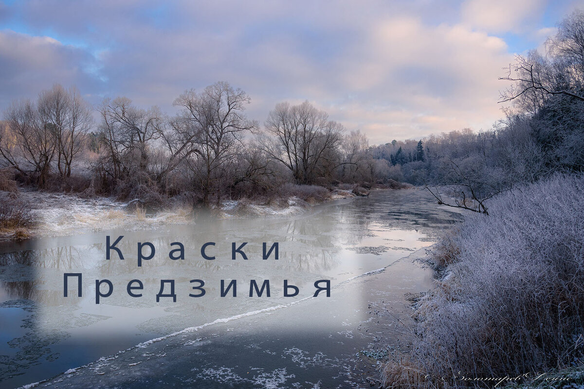 Ночная пелена. Бунин туманов пелена. Бледнеет ночь тропы. Фотограф сергей брагин природа. Бледнеет ночь тропы.