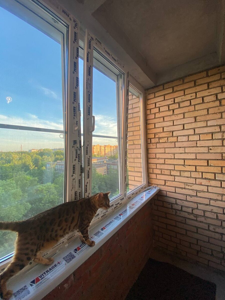 деревянные стеклопакеты с форточкой. балконный блок чебурашка. окно с глухой створкой. переделывают ли пластиковые окна. балконная дверь открывается наружу.