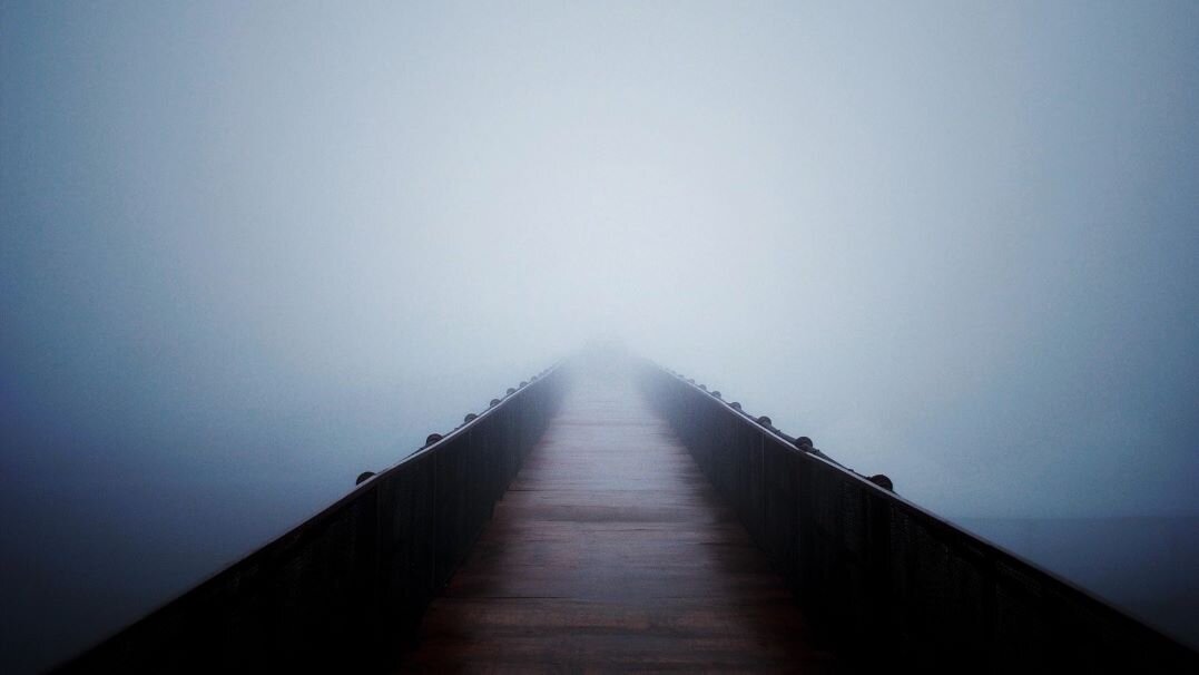 Яндекс. Картинки.