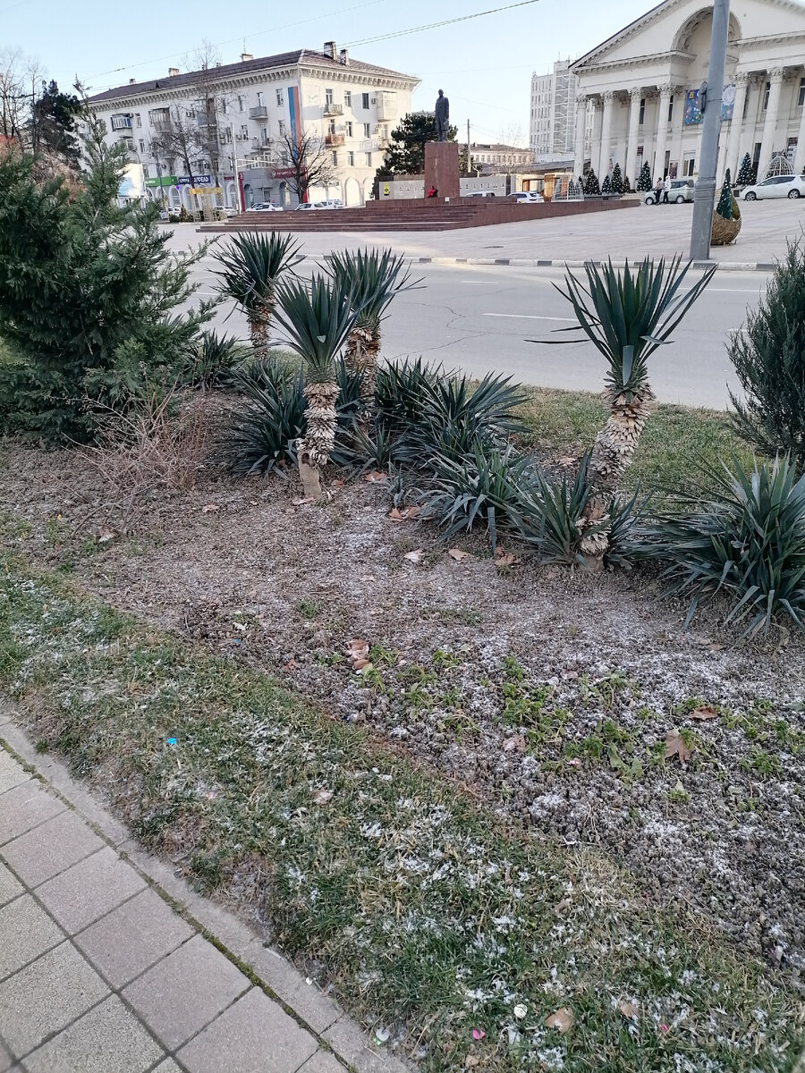 Новороссийск в январе