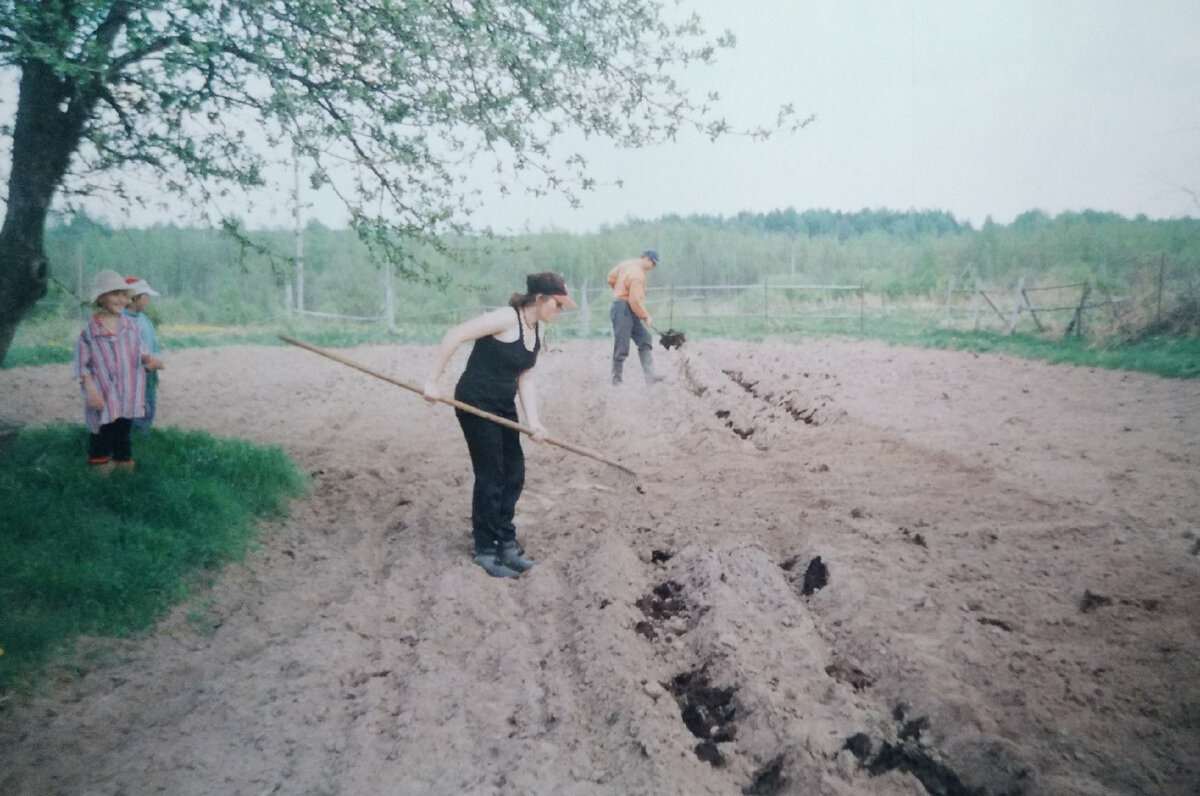 6500 k температура света. сделай одинаковый свет. теплый белый свет 3200к. сделай одинаковый свет. сделай одинаковый свет.