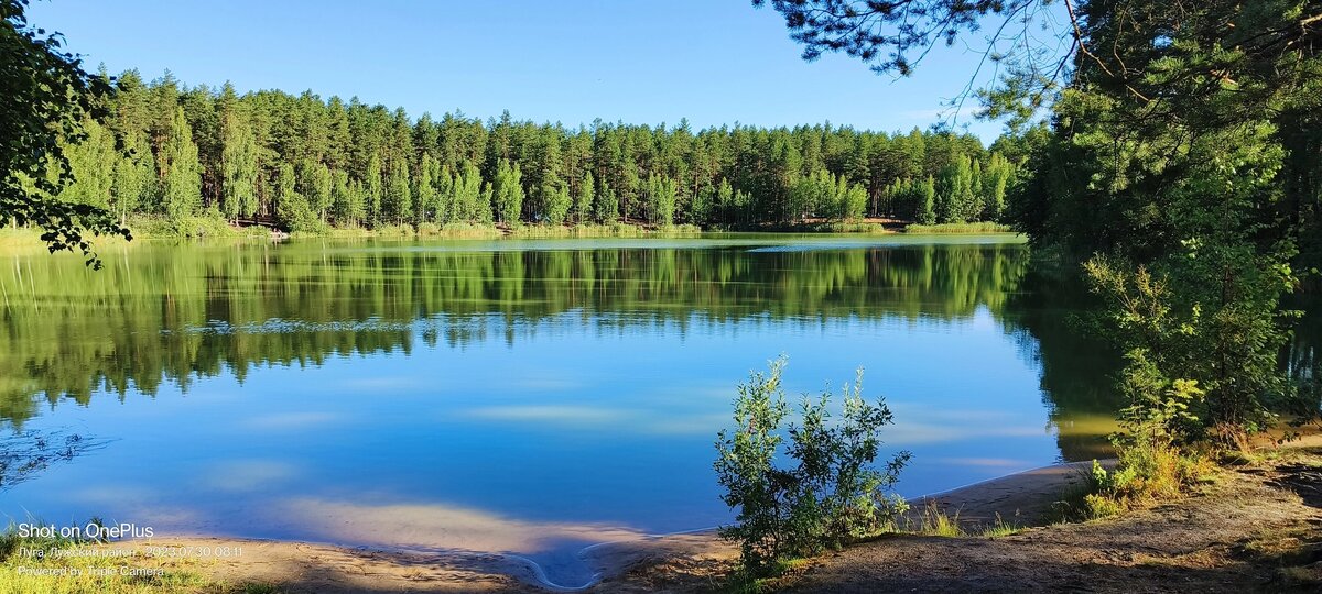 Рощинское озеро ленинградская область
