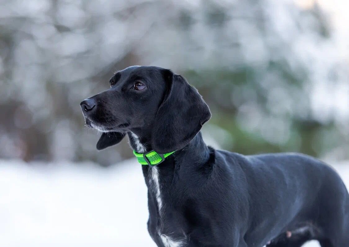 Таксомотор москва походный проезд. Походный проезд, д. Таксомотор москва походный проезд. 125373, г. Таксомотор москва походный проезд.