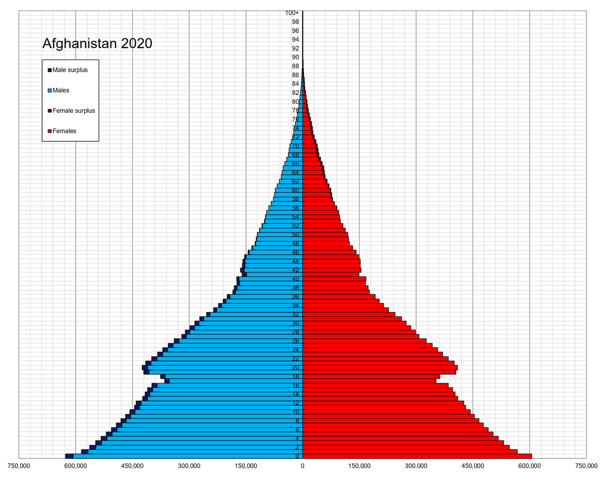 Половозрастная пирамида 2021 года