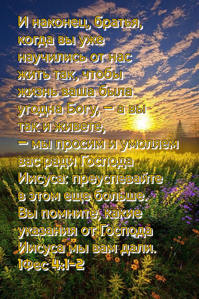 глава 2 стих 4. первое послание апостола павла к коринфянам. послание апостола иакова глава 3. правоверное христианство. апостол павел к корифенянамё.
