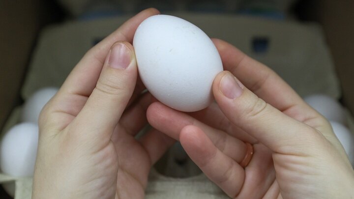 ФОТО: BULKIN SERGEY/GLOBALLOOKPRESS