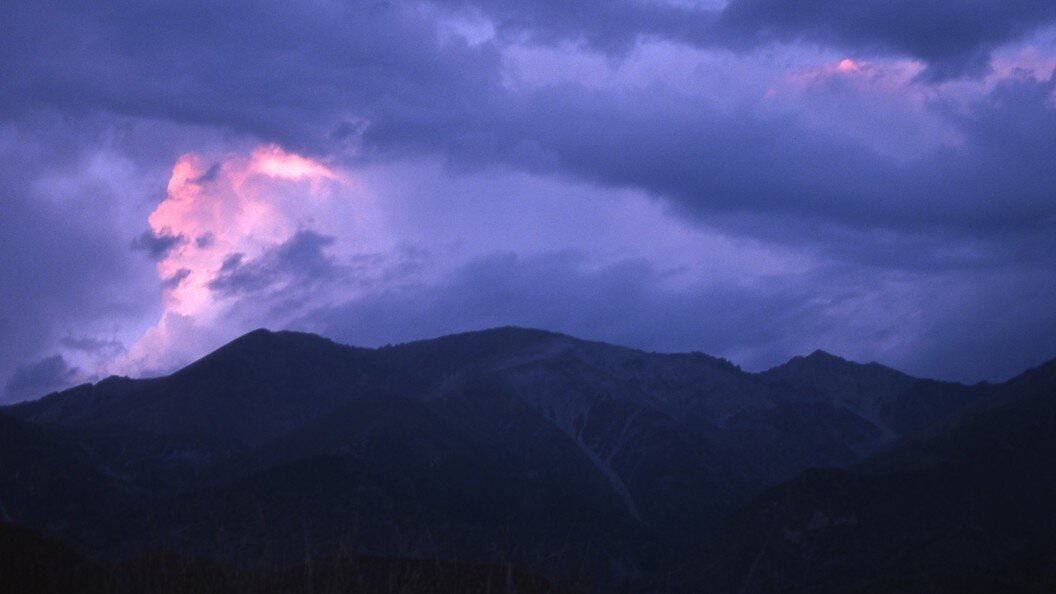    Фото: globallookpress.com