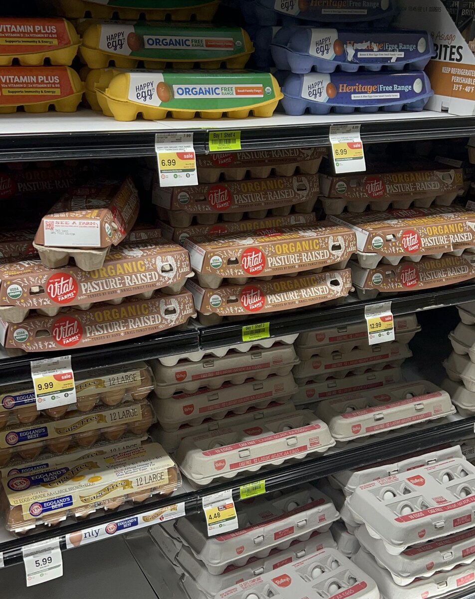 Проверка яиц на свежесть. Как определить свежесть куриного яйца. Определение свежести яиц. Качество куриных яиц. Способы определения свежести яиц.