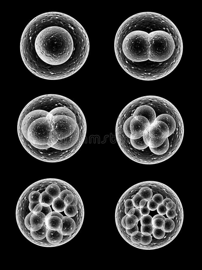 Добавьте описание