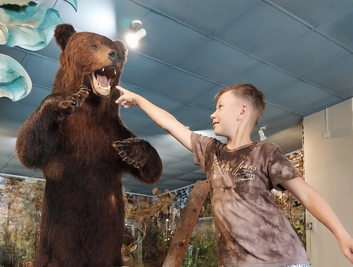 Салон красоты во владимире на октябрьском проспекте. Спа массаж. Спа лето во владимире. Орион отель владимир бассейн. Спа лето во владимире.