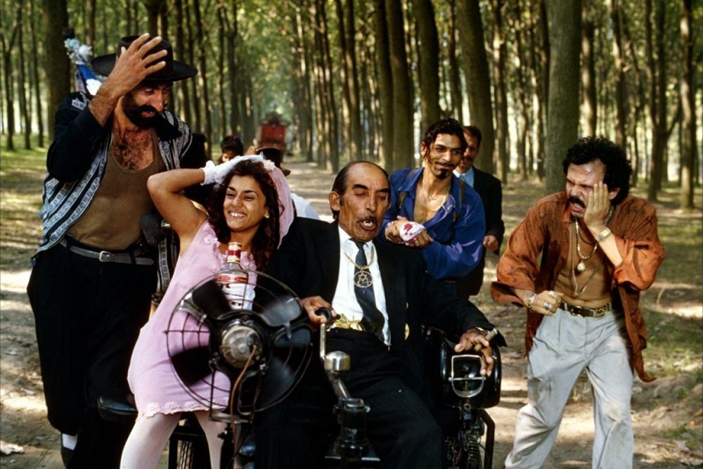 Фотографии из открытых источников Яндекс и являются собственностью авторов.