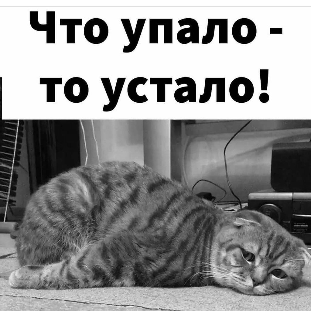 бессонница мужчина. правила здорового сна памятка. красивые дети с кончей на лице. правила здорового сна младших школьников. годами плохо сплю отзывы.