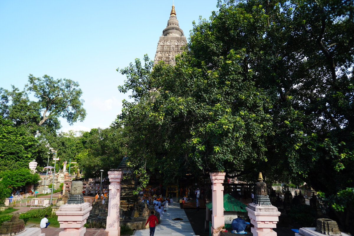 магний для чего нужен организму. 6 лет нужно принимать. народные средства от кашля. правильное питание для детей. для чего нужно пить молоко.
