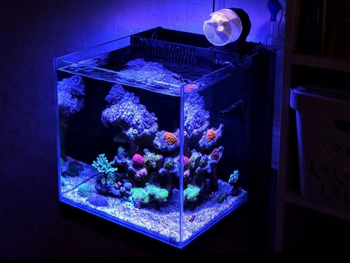 Аквариум green art marine Junior 