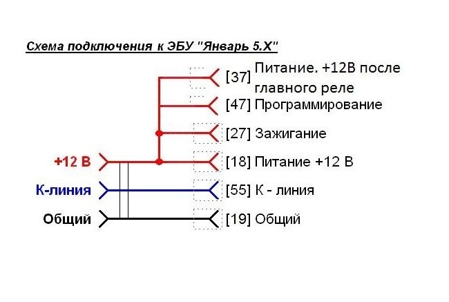 Кабель 55 pin для CombiLoader | Цена рублей – evakuator-ozery.ru