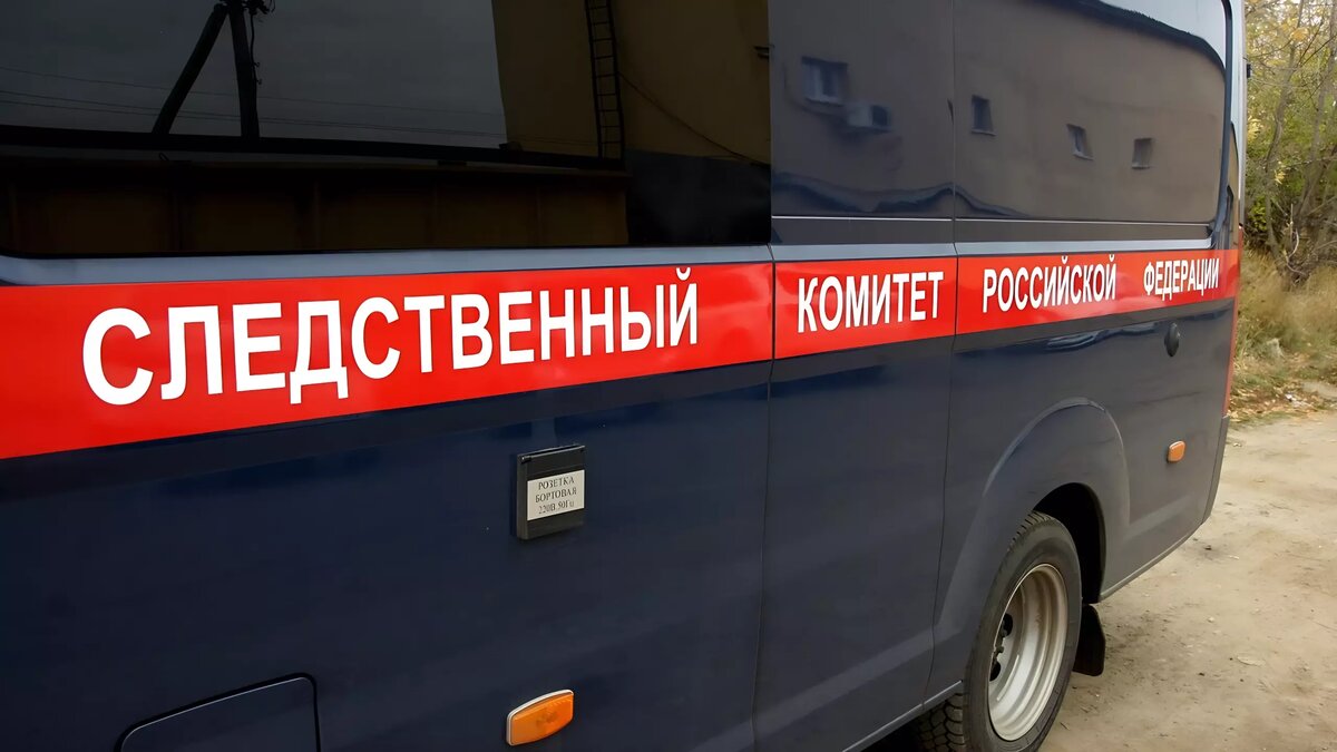     Сотрудники Следственного комитета России проведут проверку ситуации с котом Твиксом, который сначала ехал в поезде, а потом был выброшен на мороз. Распоряжение провести проверку дал глава СК РФ Александр Бастрыкин.