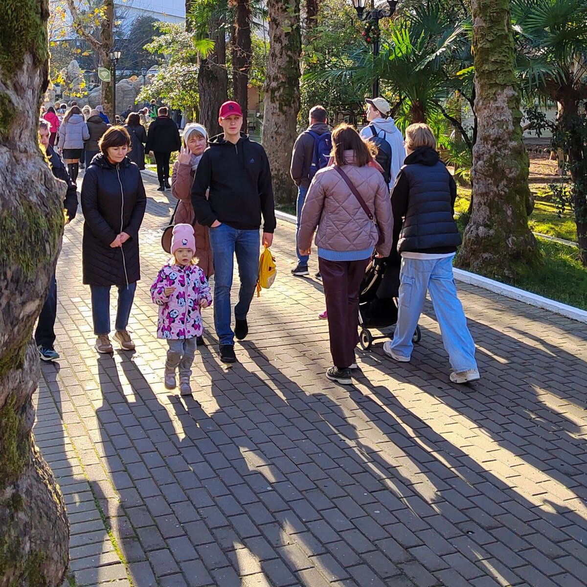 Утро в Ривьере. Довольно людно для первого января.