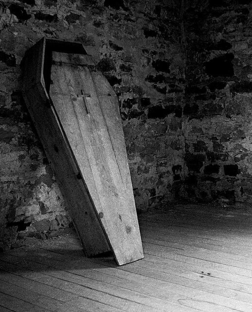 Изображение взято из открытых источников интернета. 