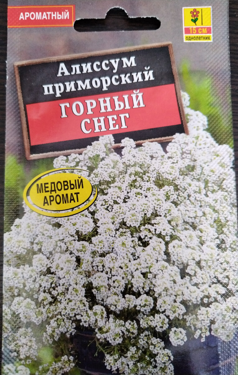 Солнышко поднимает настроение | Будни и праздники 