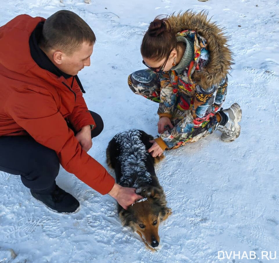 закон об эвакуации. иванов алексей дума принудительное лицензирование. законопроект о принудительном. законопроект о принудительном. принудительные меры медицинского характера.