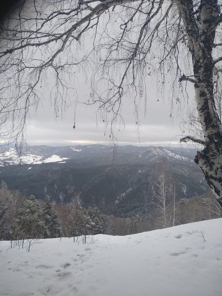 г. Белокуриха. (Фото с личного фотоальбома).