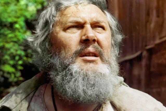 Кадр из фильма "Знахарь" (1982)