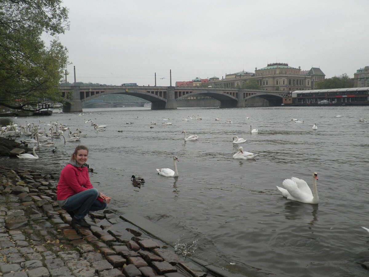 Слова песен. Песня кто научил тебя видеть ночью. Рассвет приходит к тем кто видел тьму стихи. Случайных встреч не бывает стихи. Песня кто научил тебя видеть ночью.