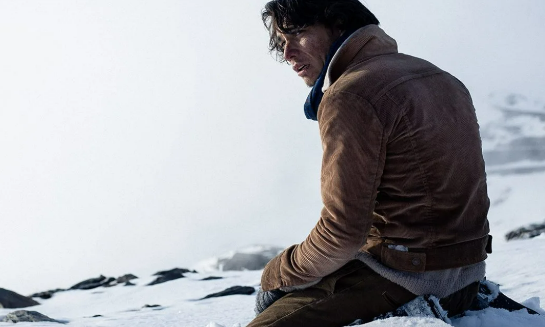 общество снега