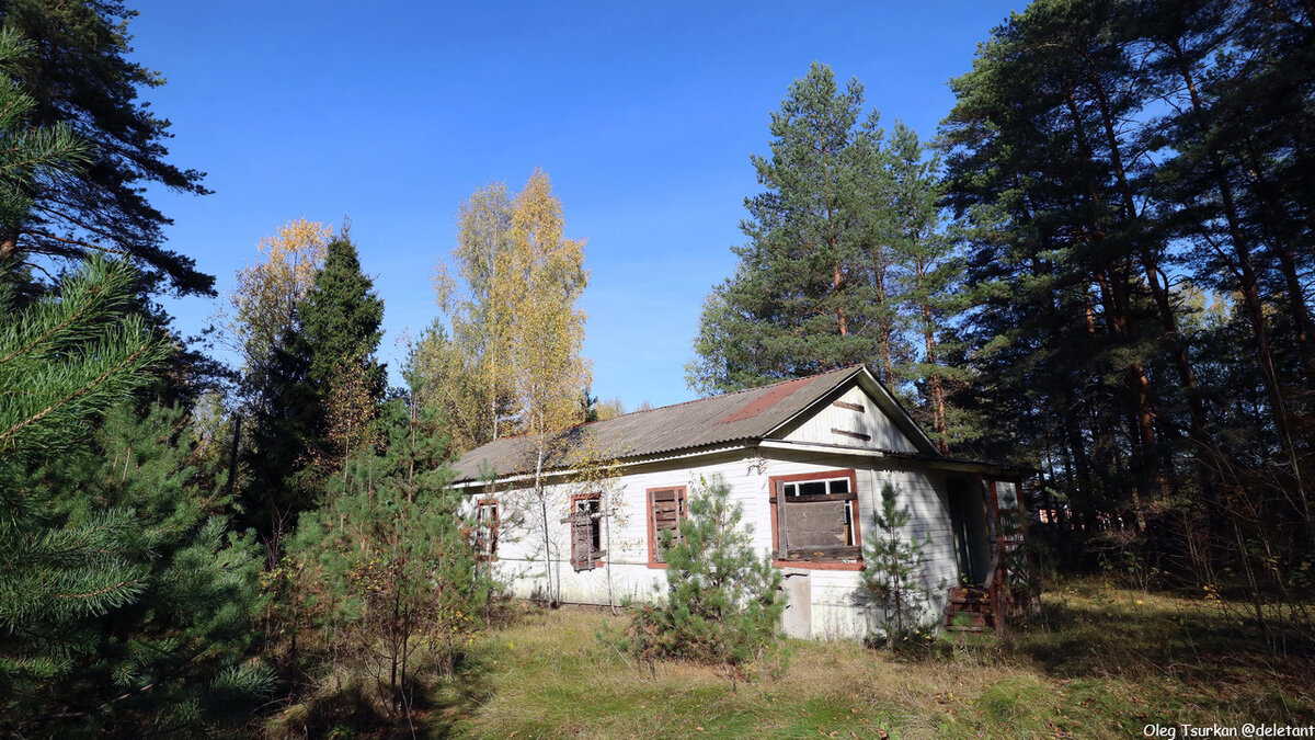 Лагерь комарики золотаревка. Детский лагерь 2 смена. Детский лагерь 2 смена. Лагерь орленок 2022. Дол титова рыбинск.