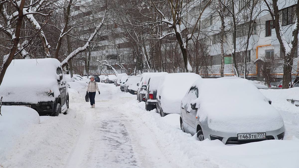    Фото: Василий Кузьмиченок / АГН Москва