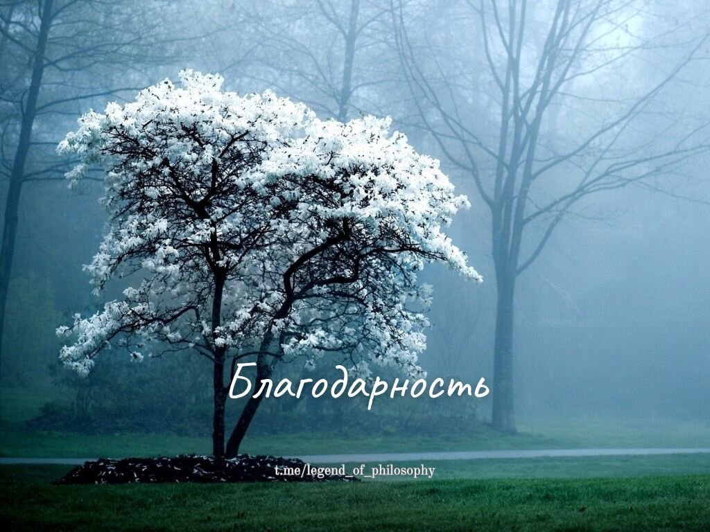 Притча ошо о благодарности. Притча о благодарности. Притчи о благодарении. Притча благодарю. Притча о благодарности богу.