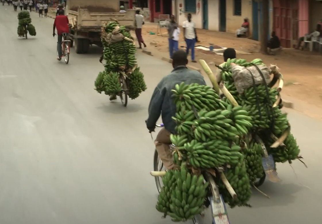 хочу делать это но боюсь