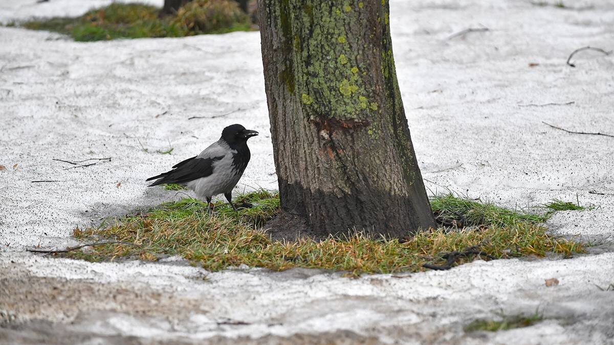    Фото: Сергей Киселев / АГН Москва