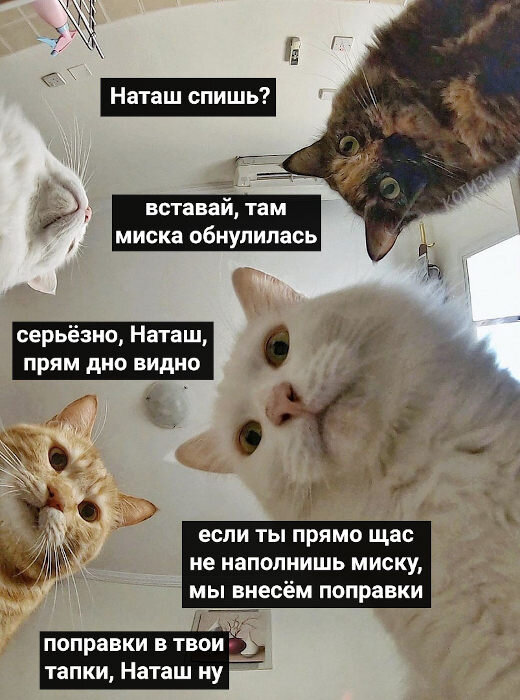 Взято с интернета