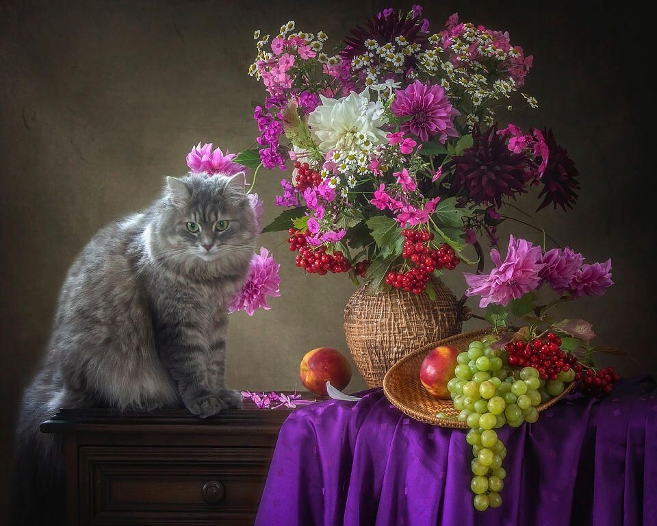 Картинка найдена на просторах интернета, ссылка https://yandex.ru/images/search?from=tabbar&img_url=https%3A%2Fi%2F.pinimg.com%2Foriginals%2Fa8%2F34%2Fа3f%2Fa83р43f851с28179b5e7bd53274cf0591a19.jpg&lr=47&pos=15&rpt=simage&text=%D1%86%D0%B2%D0%B5%D1%82%D1%8B%20%D0%BA%D1%80%D1%83%D0%BF%D0%BD%D0%BE%20%D1%84%D0%BE%D1%82%D0%BE 