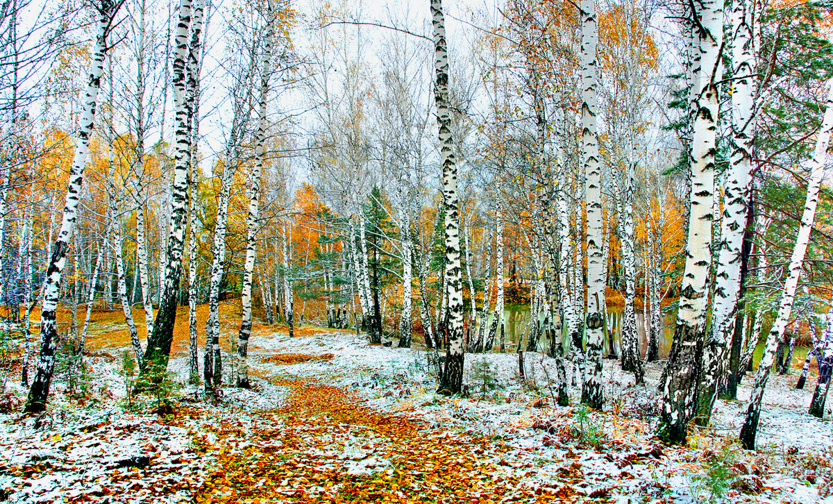 Пескова был осенний серенький день