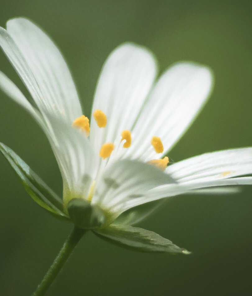 Как различают цвета мужчины и женщины. Как называют человека которого любят девушки. Назовите + девушек. Как называют человека которого любят девушки. Спеши любить джейми и лэндон.
