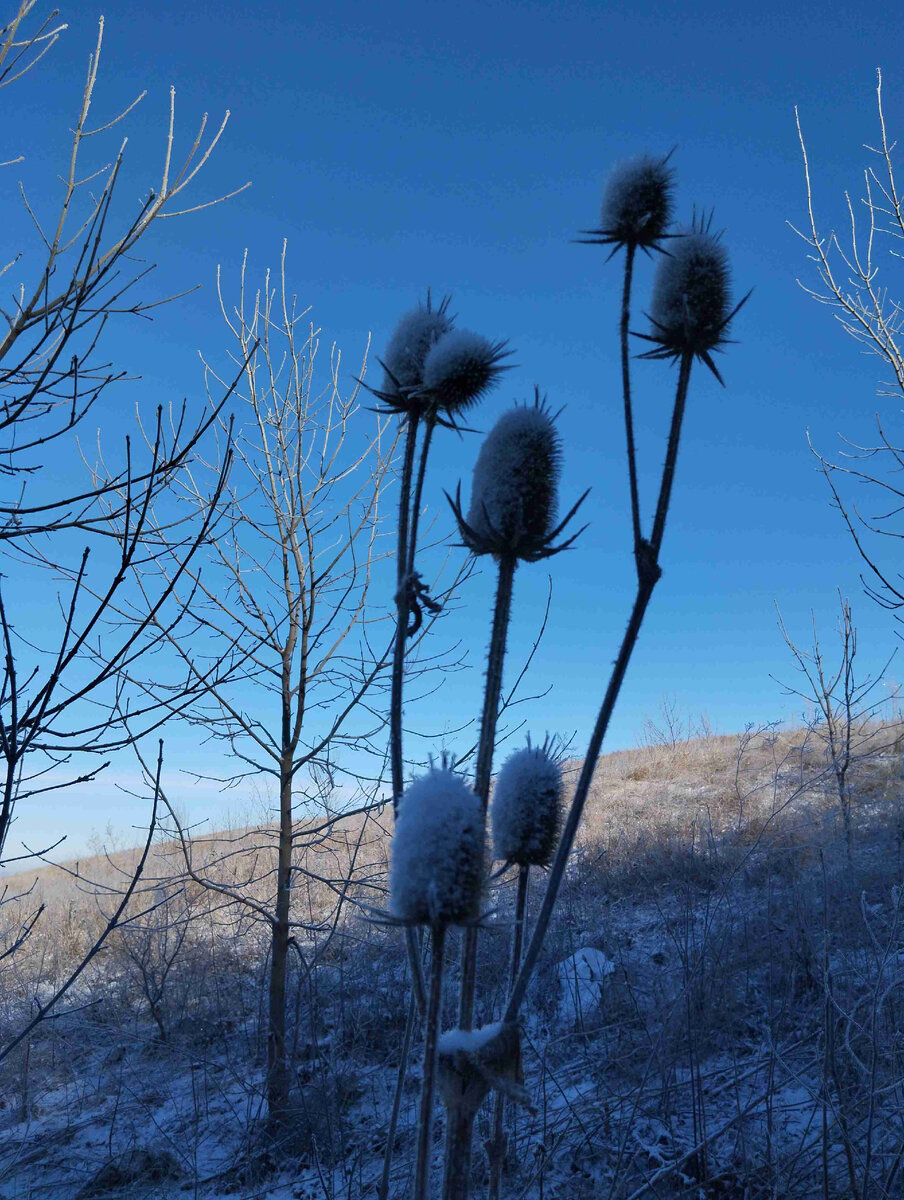 пошло в гору значение. туризм поход. мое дело сказать правду. пошло в гору значение. хочется в горы.