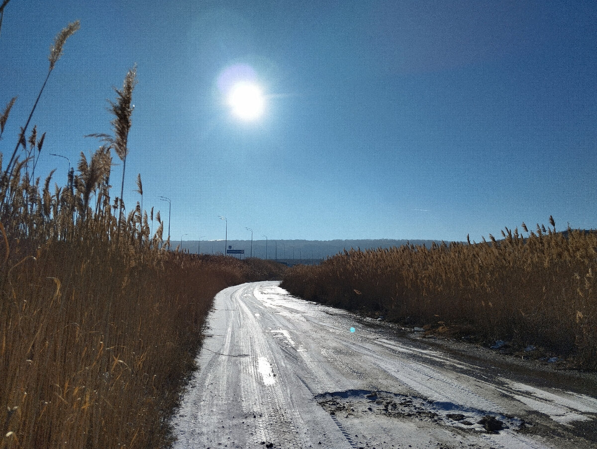 алиса акустика часть 4. мы держим путь в сторону леса. алиса акустика 1 обложка. кинчев константин 2021. кинчев 1984.