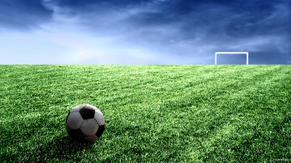 Картинка взята из общей сети Интернет.