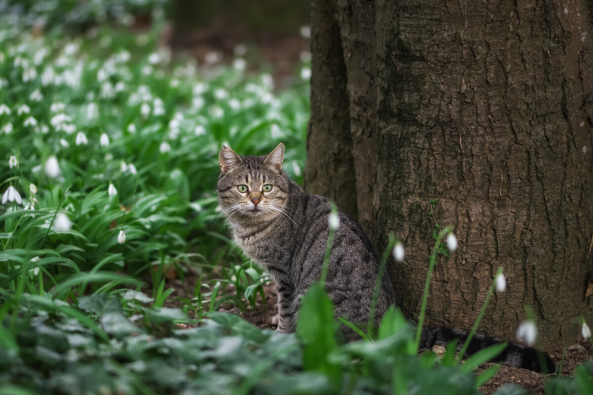 декабрь самый усталый месяц. снегопад в городе. снег в городе. зимний вечер. пришла зима с длинными ночами.
