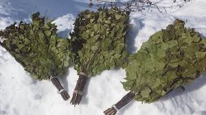 Так выглядят мои замороженные веники.