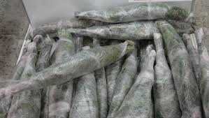 Завернутые в пленку веники можно заморозить. Хорошо тем, у кого дома есть морозильная камера.