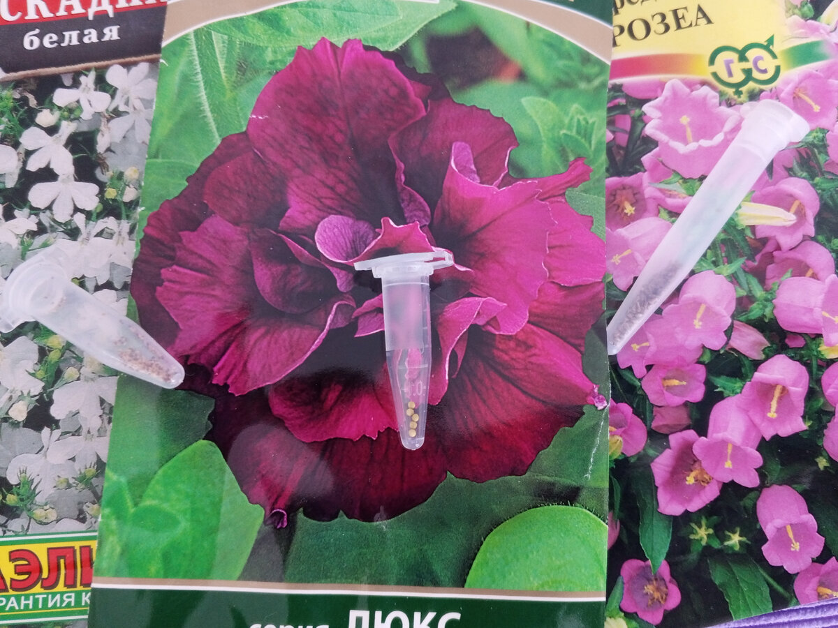 Мелкие семена в капсулах:пылевидные и гранулированные