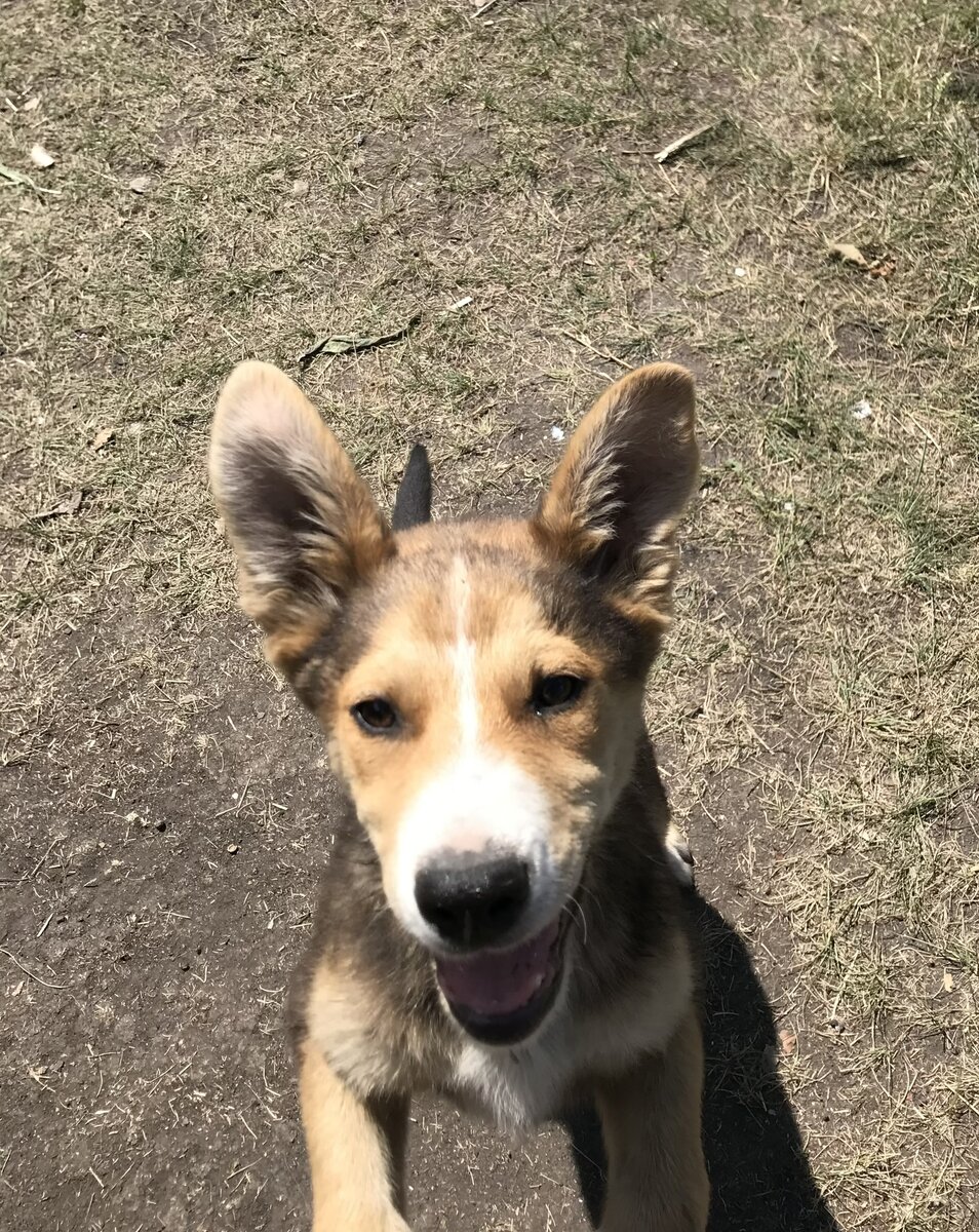 Давай знакомиться. Июнь 2020.