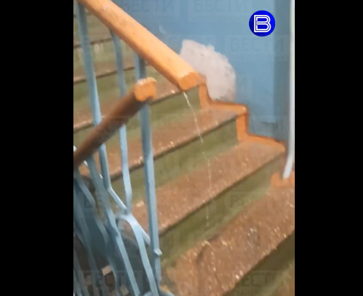 скриншот видео Вести Новосибирск
